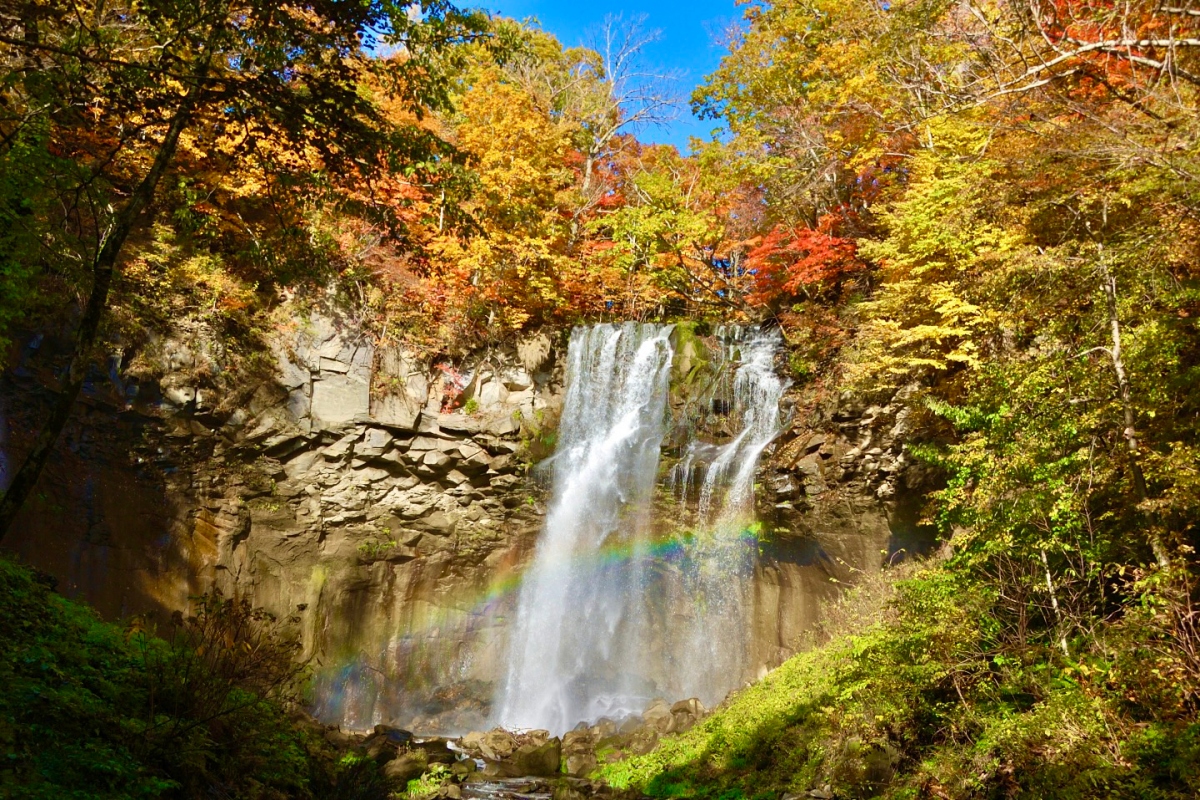 【漾旅、和遊】秋韻北海秋韻北海道～靜靜的紅葉之美秋賞七日（六人成行)